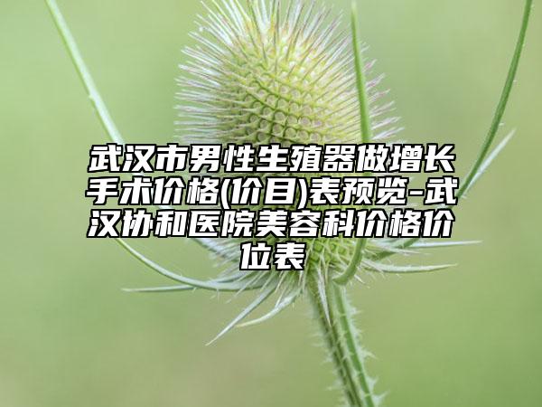 武漢市男性生殖器做增長手術(shù)價格(價目)表預(yù)覽-武漢協(xié)和醫(yī)院美容科價格價位表