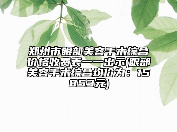 鄭州市眼部美容手術綜合價格收費表一一出示(眼部美容手術綜合均價為：15853元)