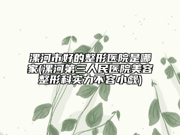 漯河市好的整形醫(yī)院是哪家(漯河第三人民醫(yī)院美容整形科實(shí)力不容小覷)