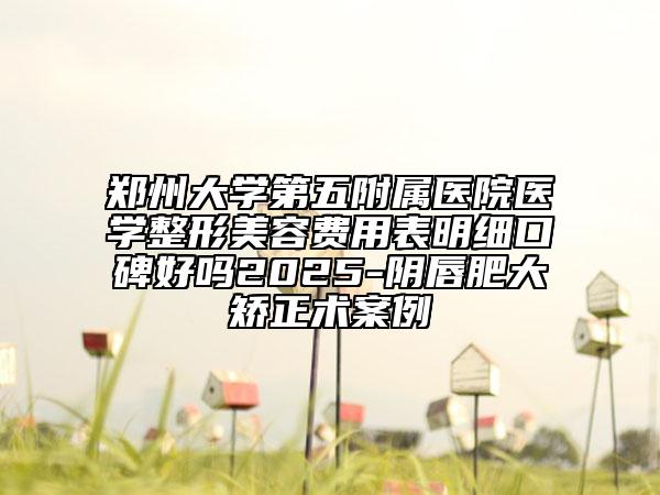 鄭州大學(xué)第五附屬醫(yī)院醫(yī)學(xué)整形美容費(fèi)用表明細(xì)口碑好嗎2025-陰唇肥大矯正術(shù)案例