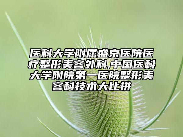 醫(yī)科大學(xué)附屬盛京醫(yī)院醫(yī)療整形美容外科,中國(guó)醫(yī)科大學(xué)附院第一醫(yī)院整形美容科技術(shù)大比拼