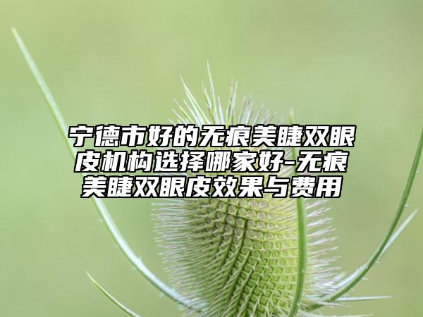 寧德市好的無痕美睫雙眼皮機構選擇哪家好-無痕美睫雙眼皮效果與費用