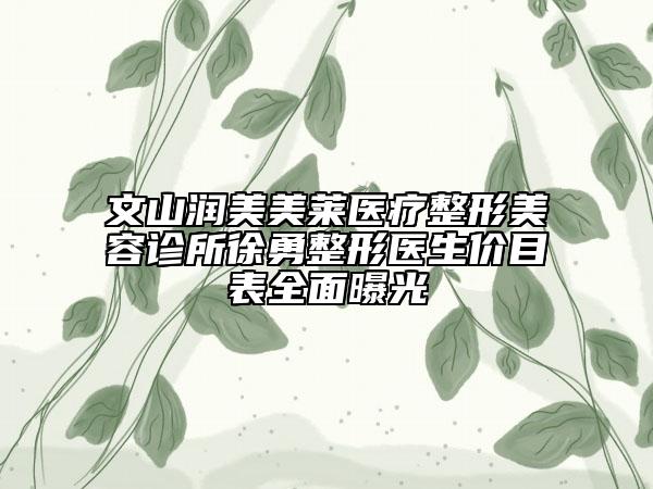 文山潤美美萊醫(yī)療整形美容診所徐勇整形醫(yī)生價目表全面曝光