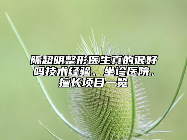 陳超明整形醫(yī)生真的很好嗎技術(shù)經(jīng)驗(yàn)、坐診醫(yī)院、擅長(zhǎng)項(xiàng)目一覽