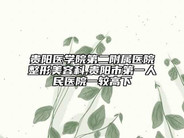 貴陽醫(yī)學(xué)院第二附屬醫(yī)院整形美容科,貴陽市第一人民醫(yī)院一較高下