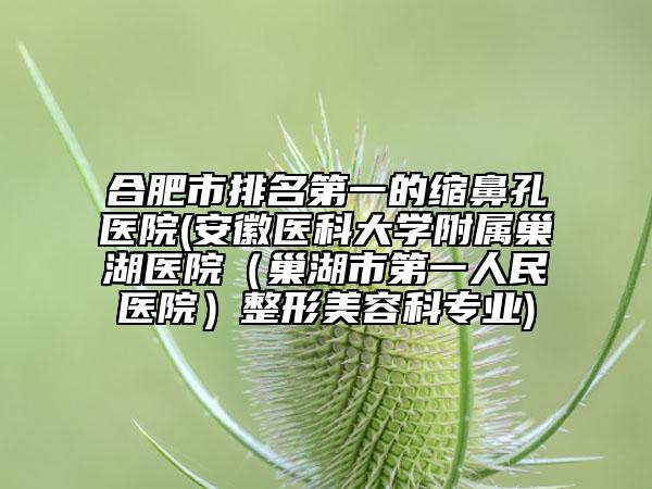 合肥市排名第一的縮鼻孔醫(yī)院(安徽醫(yī)科大學附屬巢湖醫(yī)院（巢湖市第一人民醫(yī)院）整形美容科專業(yè))