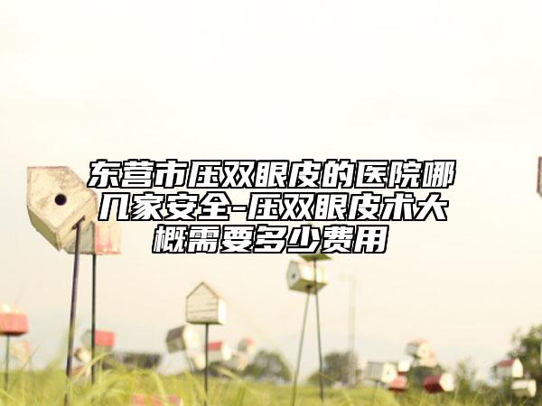 東營市壓雙眼皮的醫(yī)院哪幾家安全-壓雙眼皮術(shù)大概需要多少費(fèi)用