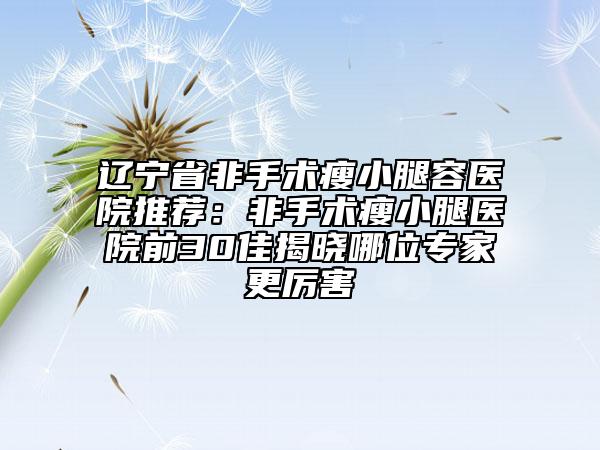 遼寧省非手術(shù)瘦小腿容醫(yī)院推薦：非手術(shù)瘦小腿醫(yī)院前30佳揭曉哪位專家更厲害